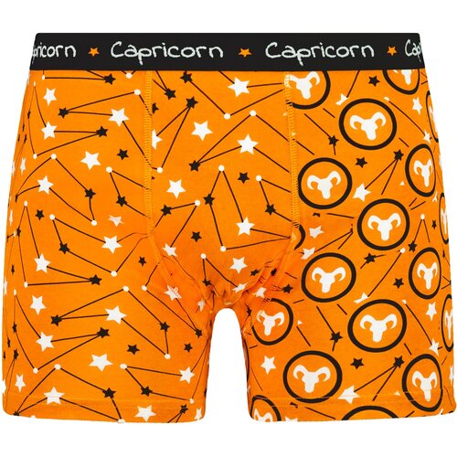 Frogies Men's boxers Zodiac Kozorog Cene