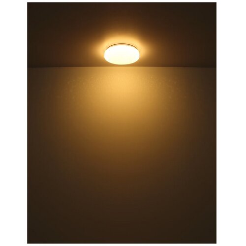 Globo plafonjera imelda led 9 w 570 lm 18 cm 3000 k Slike