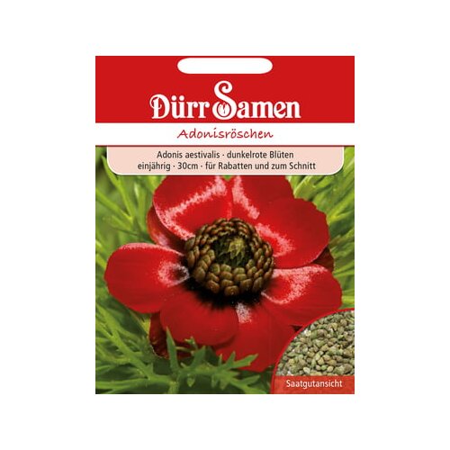 Dürr Samen adonis Cene