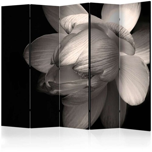  Paravan u 5 dijelova - Lotus flower II [Room Dividers] 225x172 Slike