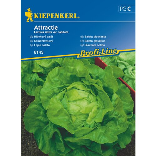KIEPENKERL Glavičasta salata Attractie (Lactuca sativa var. capitata, Berba: Lipanj) Cijene