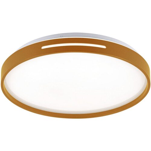  Plafonjera Gold 24W IP20 Cene