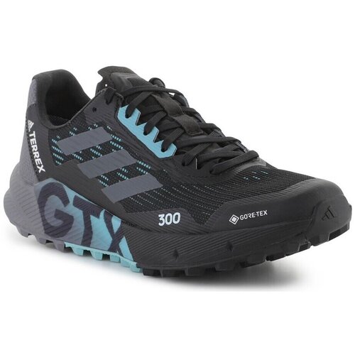 Adidas Terrex Agravic Flow 2 Gtx Crna Slike