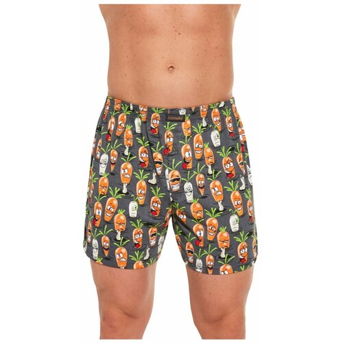 Cornette Men's shorts Classic multicolored (001/129) Slike
