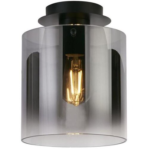 Searchlight 88911-1BK - plafonsko svetlo sweden 1xE27/60W/230V prečnik 22 cm crna/zadimljeno Cene