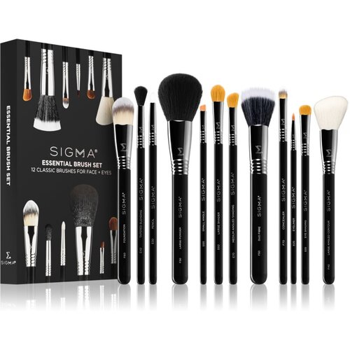 Sigma Beauty Essential Brush Set set čopičev Slike