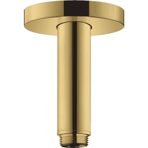 Hansgrohe plafonski drzač tuš ruže s 10cm zlantni 27393990 Slike