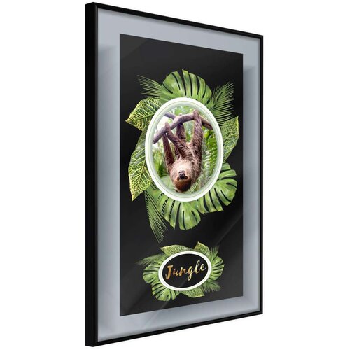  Poster - Greetings from the Jungle 30x45 Cijene