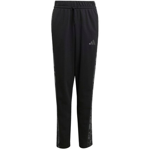 Adidas Športne hlače temno siva / črna Cene