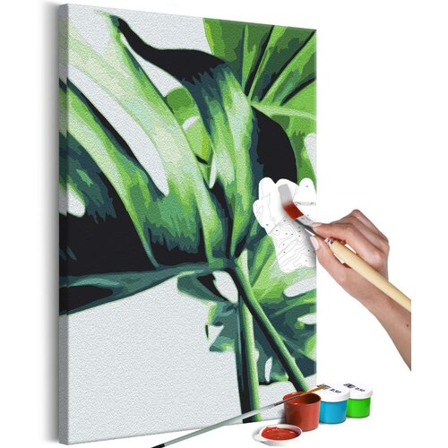  Slika za samostalno slikanje - Monstera Adansonii 40x60 Slike
