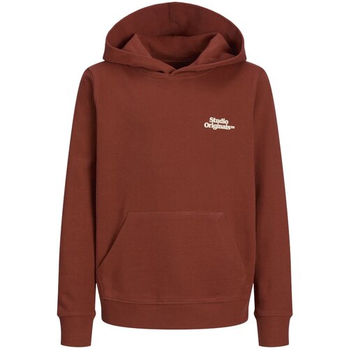 Jack & Jones Dukserica za dečake 12274622, Bordo Cene