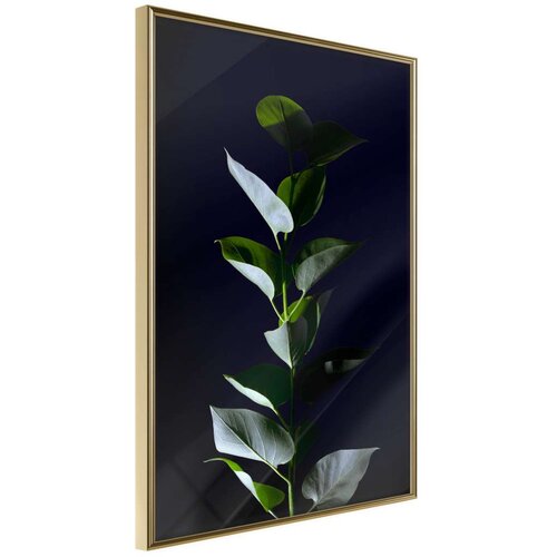  Poster - Floral Elegance 20x30 Slike