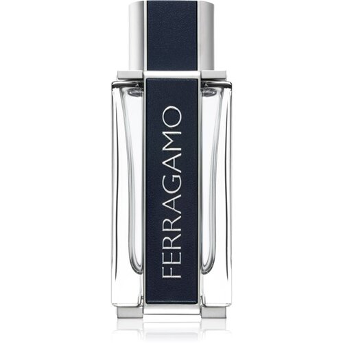 Salvatore Ferragamo Ferragamo Eau De Toilette 100 ml (man) Cijene