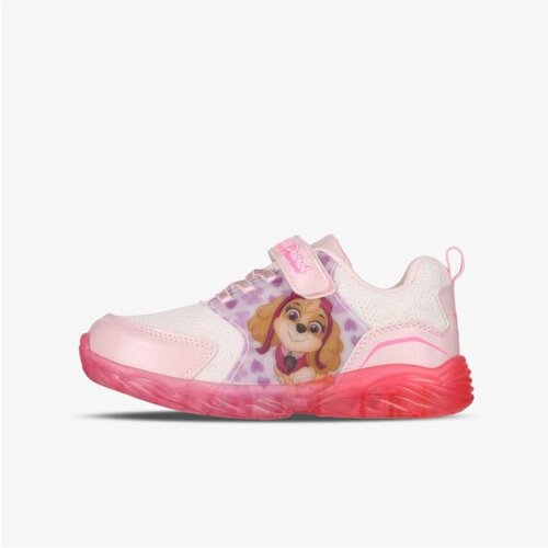 Disney Paw patrol Cene