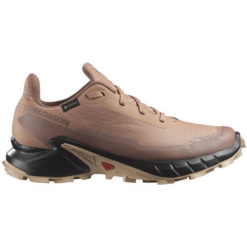 Salomon muške patike Alphacross 5 Gtx Cene