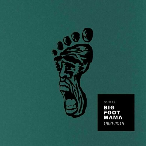 Big Foot Mama - BEST OF 1990- 2015 2CD, (579620) Cene