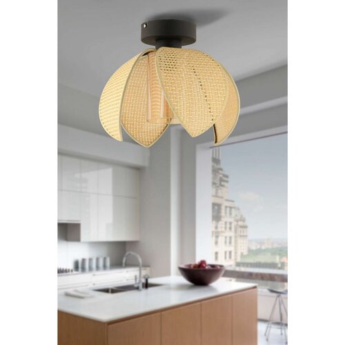 Opviq Luster 64884 u krem i crnoj boji Cene