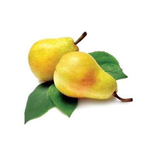 Nepoznato Kruške Viljamovka 1kg Cene