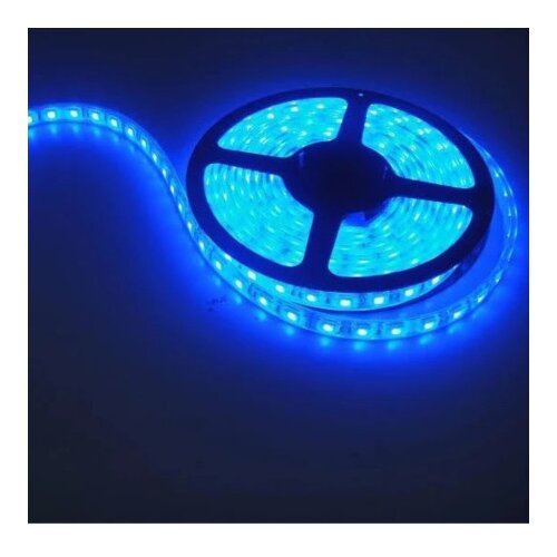  Led traka 12V plava ( 613 ) Slike