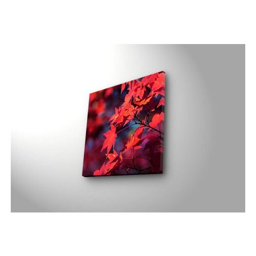 Wallity Zidna slika sa LED osvetljenjem 2828DACT-7, 28x28 cm Slike
