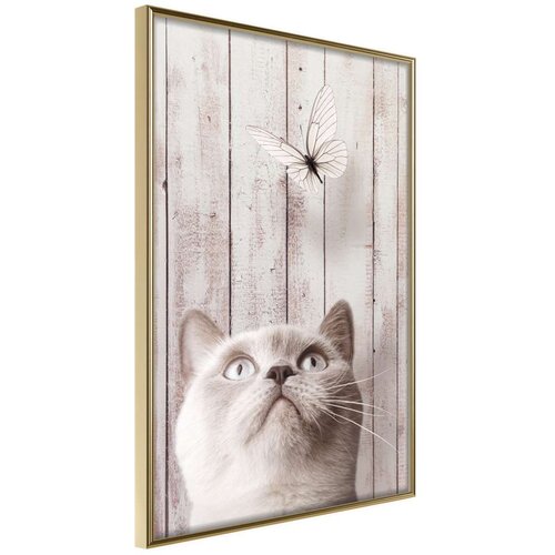  Poster - Piercing Look 30x45 Slike