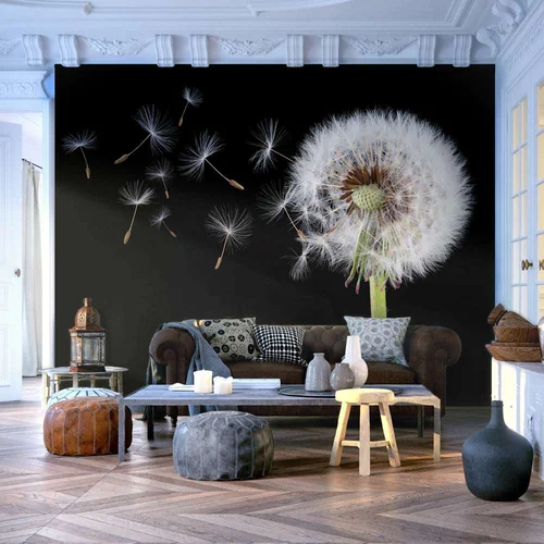  tapeta - Wind and dandelion 250x193