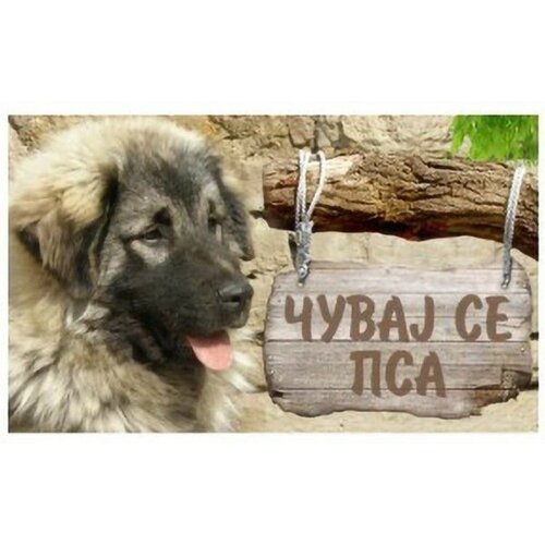 Happy Dog tabla Čuvaj se psa - Šarplaninac 20x12.5cm Slike
