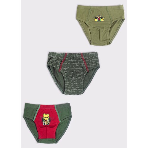 Yoclub Kids&amp;#039;s 3Pack Boys&amp;#039; Briefs BMC-0035C-AA10-001 Slike