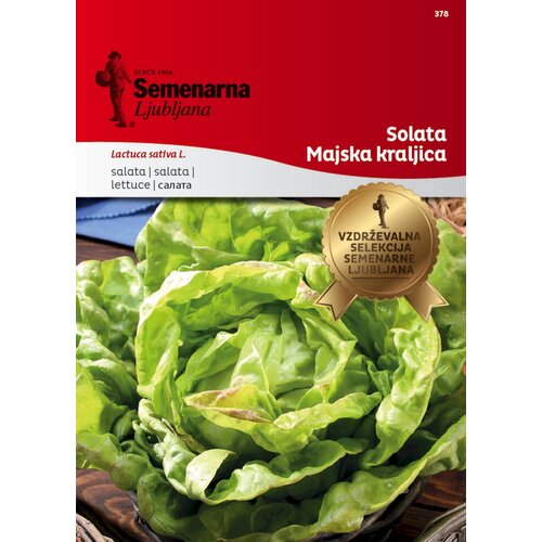 Semenarna Ljubljana Solata "Majska kraljica" - 5 g Cene