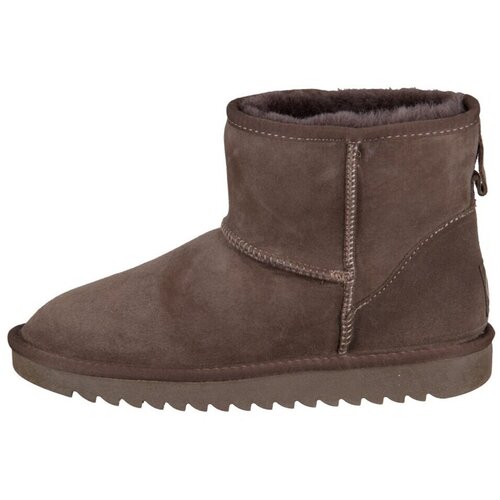 Ara Gležnjarji Alaska Kostanjeva Slike