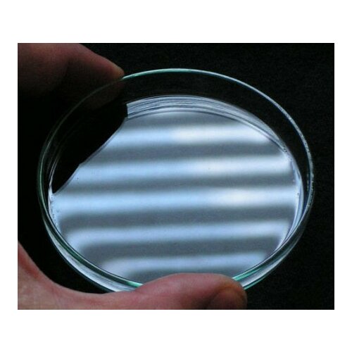 Lacerta petrijeva šolja 60mm ( Petri060 ) Slike