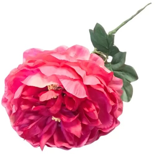  Rezano cvijeće grana peonija 71 cm roza Cijene