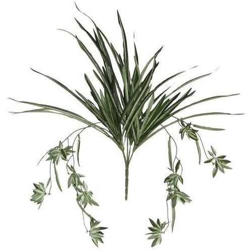  CVIJEĆE SPIDER PLANT PVC Cijene