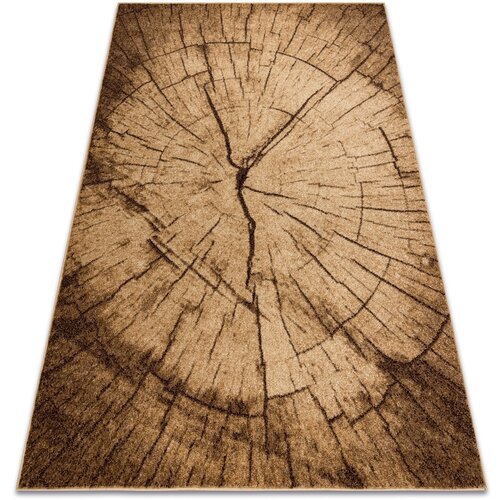 RugsX Preproge Preproga SILVER TRONKO Deblo drevesa les - 300x400 cm Kostanjeva Cene