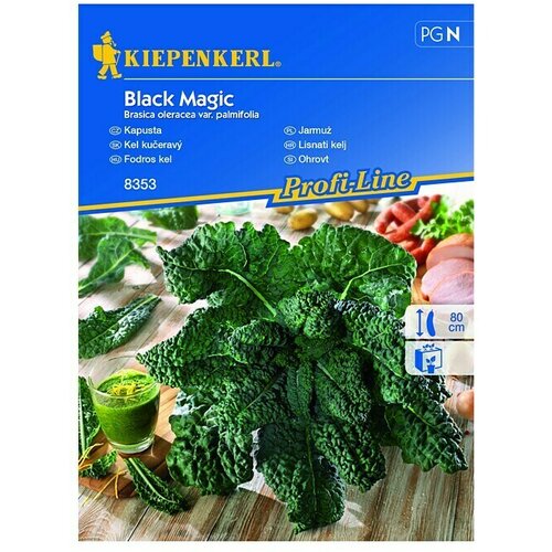 KIEPENKERL Profi-Line Sjeme povrća Kelj Black Magic (Brasica oleracea var. palmifolia, Berba: Lipanj) Slike