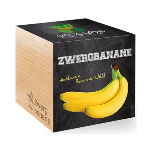 Feel Green ecocube &amp;quot;pritlikava banana&amp;quot; Slike