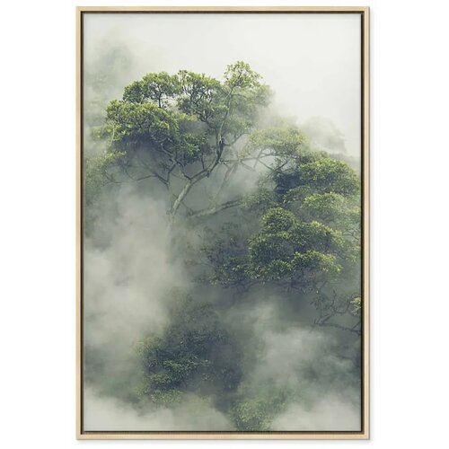  Slika - Foggy Amazon (1 Part) Vertical 60x90 Slike