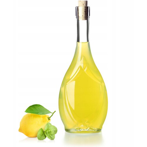 KADAX steklenica za vino 500 ml s pluto, olivnim oljem, kisom, alkoholnim likerjem, (5000355244) Cene