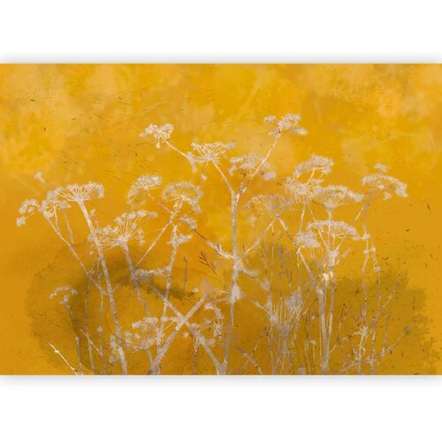  Foto tapeta - Meadow Bathed in the Sun 100x70 Slike