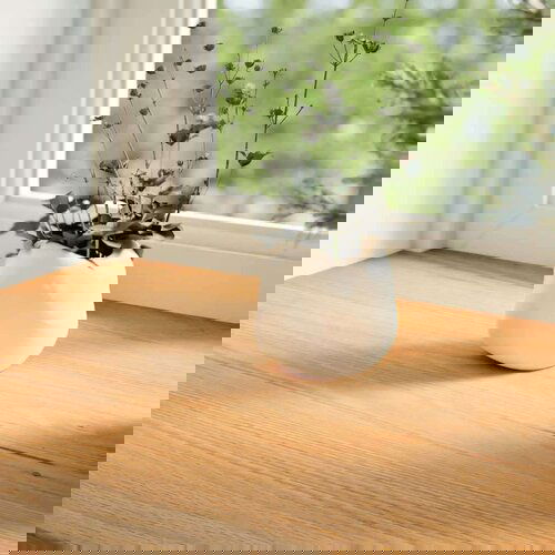 vidaXL Okenske police 2 kosa svetlo rjava 100x30x2 cm trdna hrastovina Cene