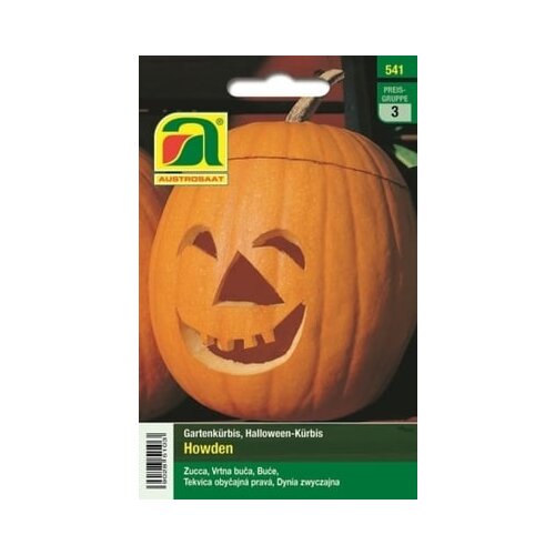 AUSTROSAAT Halloween-buča "Howden" Cene