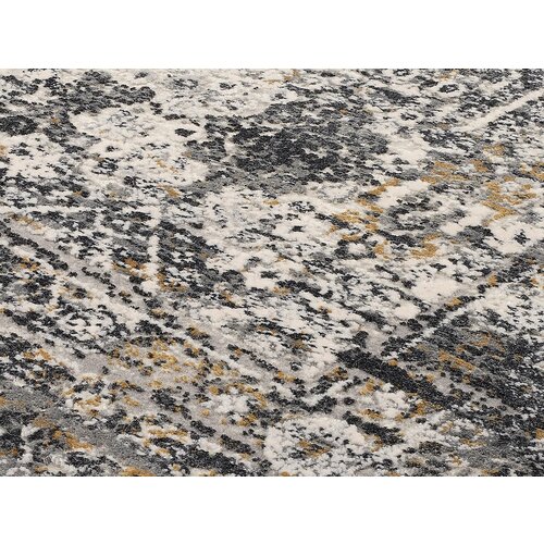 Dieter Knoll TKANA PREPROGA Toulon 200/250 cm siva, zlate barve Slike