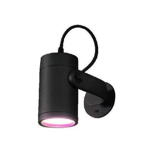 Philips Zunanja svetila Projecteur de jardin Hue connect&eacute; 8W noir Črna Cene