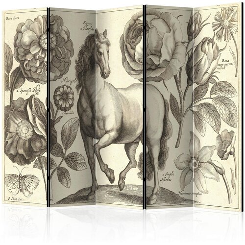 Artgeist PARAVAN 225/172/3 cm krem barve, siva Cene