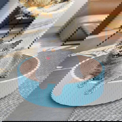  Grebalica za mačke Okrugla Plava 40x40x10 cm Cene