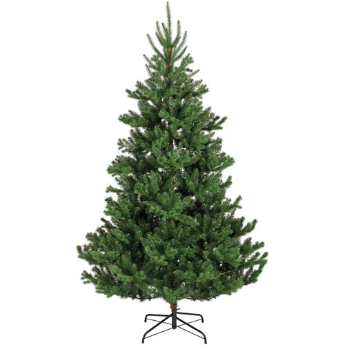 Everlands Novogodišnja jelka Alba/ 210cm Cene
