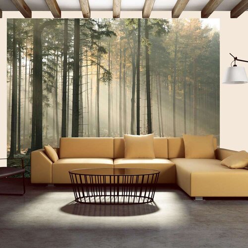  Tapeta - Foggy November morning 300x231 Cijene