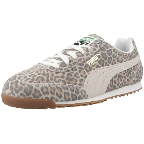 Puma ARIZONA LEO Višebojna