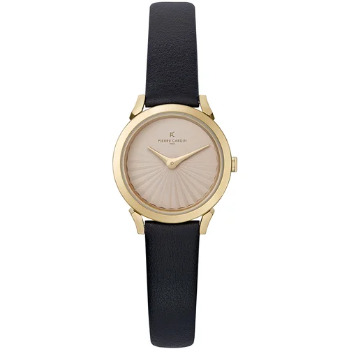 Pierre Cardin Watch