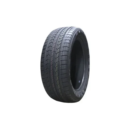 Double Star DS01 ( 225/70 R16 103T )